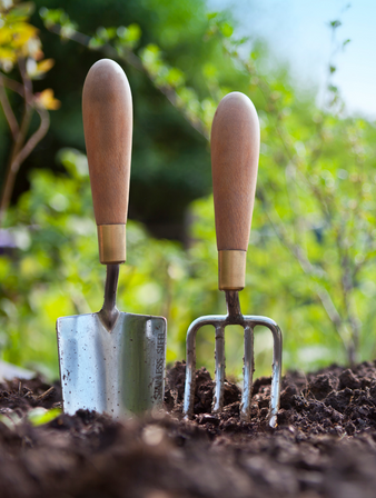 January gardening