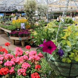 A friendly family run garden centre